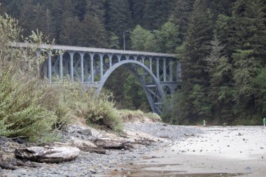 Heceta Head State Park 'taki tarihi metal köprü manzaralı erişim sağlıyor. Bu ikonik çelik yapı, yıpranmış bir dönüm noktası, ziyaretçileri Oregon Sahili deneyiminin hayati bir parçası olan sahil güzelliğine ve deniz fenerine yönlendiriyor..