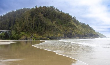 Oregon 'daki Heceta Head State Park' ta Pasifik Okyanusu 'na bakan dramatik uçurumların tepesinde ikonik bir deniz feneri bulunur. Kumlu plajları ve kayalık sahilleri keşfedin. Pasifik Okyanusu manzarası için kıyı ormanlarından esen rüzgar manzaralı patikalar.. 