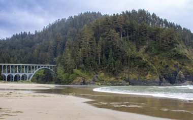 Oregon 'daki Heceta Head State Park' ta Pasifik Okyanusu 'na bakan dramatik uçurumların tepesinde ikonik bir deniz feneri bulunur. Kumlu plajları ve kayalık sahilleri keşfedin. Pasifik Okyanusu manzarası için kıyı ormanlarından esen rüzgar manzaralı patikalar.. 
