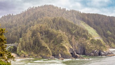 Oregon 'daki Heceta Head State Park' ta Pasifik Okyanusu 'na bakan dramatik uçurumların tepesinde ikonik bir deniz feneri bulunur. Kumlu plajları ve kayalık sahilleri keşfedin. Pasifik Okyanusu manzarası için kıyı ormanlarından esen rüzgar manzaralı patikalar.. 