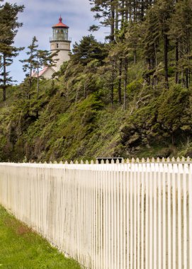 Oregon 'daki Heceta Head State Park' ta Pasifik Okyanusu 'na bakan dramatik uçurumların tepesinde ikonik bir deniz feneri bulunur. Kumlu plajları ve kayalık sahilleri keşfedin. Pasifik Okyanusu manzarası için kıyı ormanlarından esen rüzgar manzaralı patikalar.. 