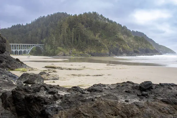 101. Otoyol 'dan Oregon Sahili' nde engebeli uçurumlar, ikonik deniz yığınları, geniş plajlar ve Pasifik Okyanusu 'na ulaşan yemyeşil ormanlar sergileniyor. Nefes kesici manzaralı bir sürüş.
