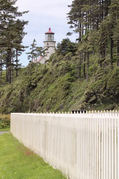 Oregon 'daki Heceta Head State Park' ta Pasifik Okyanusu 'na bakan dramatik uçurumların tepesinde ikonik bir deniz feneri bulunur. Kumlu plajları ve kayalık sahilleri keşfedin. Pasifik Okyanusu manzarası için kıyı ormanlarından esen rüzgar manzaralı patikalar.. 
