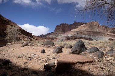  Capitol Resifi Ulusal Parkı 'nın hayranlık uyandıran dağ manzaraları. Uçsuz bucaksız kızıl kaya oluşumlarını, engin çöl manzaralarını ve dramatik uçurumları keşfedin. Engebeli ama sakin Utah vahşi doğası nefes kesici manzaralar sunuyor..