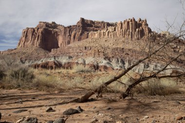 Capitol Resif Ulusal Parkı 'nın göz kamaştırıcı dağ manzaraları görkemli kırmızı kaya oluşumları, geniş çöl manzaraları ve dramatik uçurumlar içerir. Engebeli ama sakin Utah vahşi doğası nefes kesici manzaralar sunuyor..