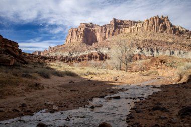 Capitol Resif Ulusal Parkı 'nın göz kamaştırıcı dağ manzaraları görkemli kırmızı kaya oluşumları, geniş çöl manzaraları ve dramatik uçurumlar içerir. Engebeli ama sakin Utah vahşi doğası nefes kesici manzaralar sunuyor..