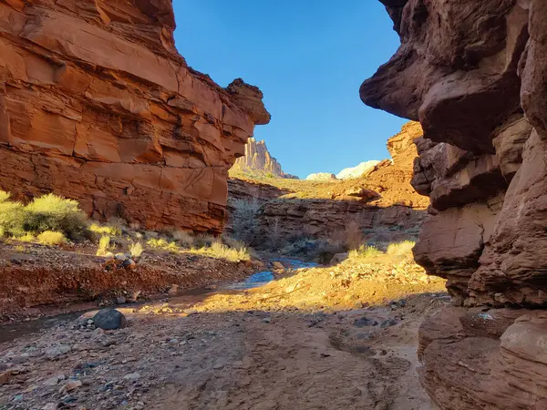 Capitol Resif Ulusal Parkı 'nın göz kamaştırıcı dağ manzaraları görkemli kırmızı kaya oluşumları, geniş çöl manzaraları ve dramatik uçurumlar içerir. Engebeli ama sakin Utah vahşi doğası nefes kesici manzaralar sunuyor..