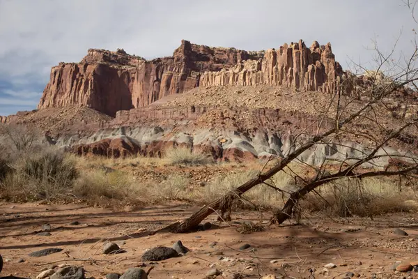 Capitol Resif Ulusal Parkı 'nın göz kamaştırıcı dağ manzaraları görkemli kırmızı kaya oluşumları, geniş çöl manzaraları ve dramatik uçurumlar içerir. Engebeli ama sakin Utah vahşi doğası nefes kesici manzaralar sunuyor..