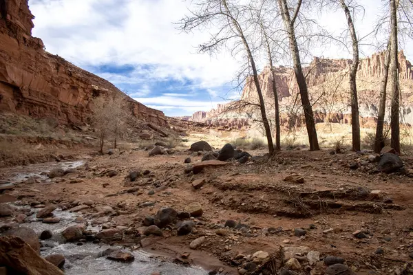 Capitol Resif Ulusal Parkı 'nın göz kamaştırıcı dağ manzaraları görkemli kırmızı kaya oluşumları, geniş çöl manzaraları ve dramatik uçurumlar içerir. Engebeli ama sakin Utah vahşi doğası nefes kesici manzaralar sunuyor..
