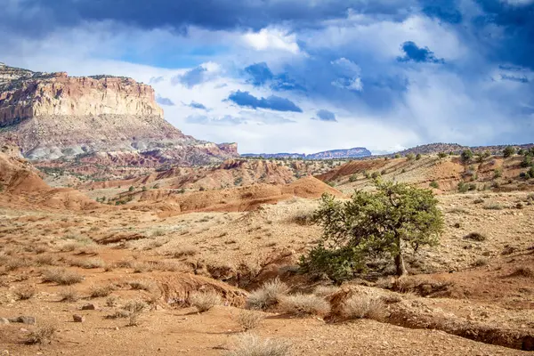 Capitol Resif Ulusal Parkı 'nın göz kamaştırıcı dağ manzaraları görkemli kırmızı kaya oluşumları, geniş çöl manzaraları ve dramatik uçurumlar içerir. Engebeli ama sakin Utah vahşi doğası nefes kesici manzaralar sunuyor..