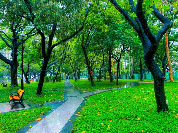 Park ağaçlarla dolu..