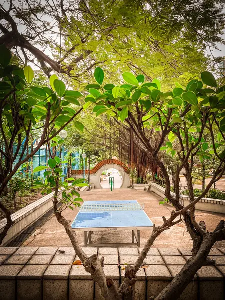 Parktaki masa tenisi