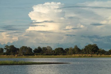 Okavango Delta Ovaları, Botswana
