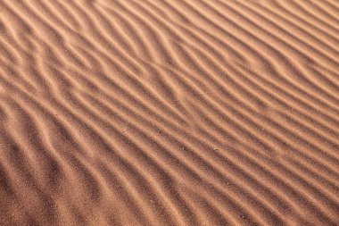 Kum tepelerinin dokusu