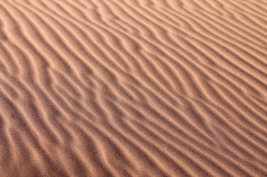 Çöldeki kum tepeleri