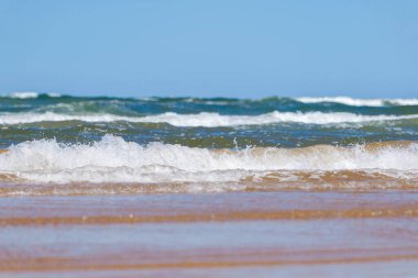 Yaz mevsiminde kumlu sahilde yumuşak bir mavi okyanus dalgası. Prens Edward Adası, Kanada