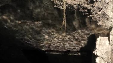 Su dalgaları ışıkla parıldayan dev bir kayayı nazikçe yansıtır. Yüksek kalite 4k görüntü