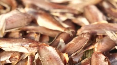 Wenzhou Çin 'de canlı bir deniz ürünleri pazarı. Yüksek kalite 4k görüntü