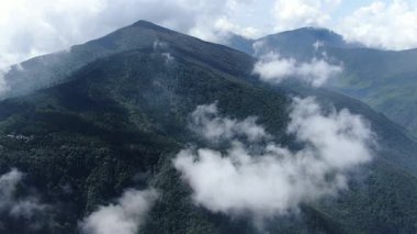 Yüksek dağları kaplayan sisli hava manzarası. Hangzhou Zhejiang Çin 'deki batı Tianmu Dağı. Yüksek kalite 4k görüntü