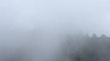 Yüksek dağları kaplayan sisli hava manzarası. Hangzhou Zhejiang Çin 'deki batı Tianmu Dağı. Yüksek kalite 4k görüntü