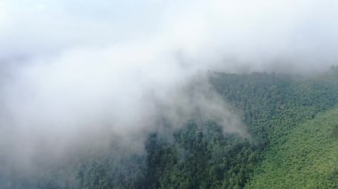 Yüksek dağları kaplayan sisli hava manzarası. Hangzhou Zhejiang Çin 'deki batı Tianmu Dağı. Yüksek kalite 4k görüntü