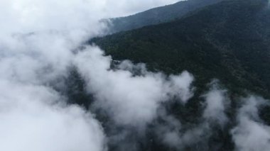 Yüksek dağları kaplayan sisli hava manzarası. Hangzhou Zhejiang Çin 'deki batı Tianmu Dağı. Yüksek kalite 4k görüntü