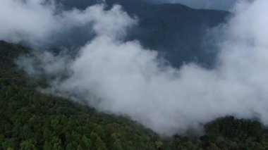 Yüksek dağları kaplayan sisli hava manzarası. Hangzhou Zhejiang Çin 'deki batı Tianmu Dağı. Yüksek kalite 4k görüntü