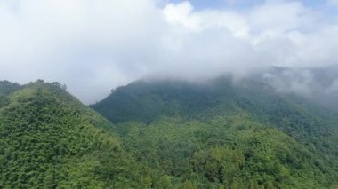 Yüksek dağları kaplayan sisli hava manzarası. Hangzhou Zhejiang Çin 'deki batı Tianmu Dağı. Yüksek kalite 4k görüntü