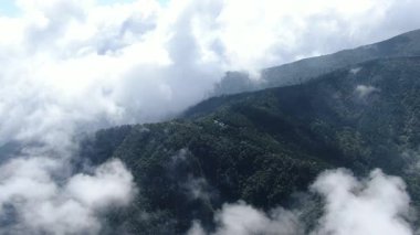 Yüksek dağları kaplayan sisli hava manzarası. Hangzhou Zhejiang Çin 'deki batı Tianmu Dağı. Yüksek kalite 4k görüntü