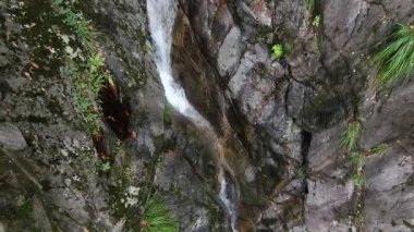 Çin 'in Hangzhou Zhejiang eyaletinde, doğu Tianmu dağında güzel, uzun bir şelale. Yüksek kalite 4k görüntü