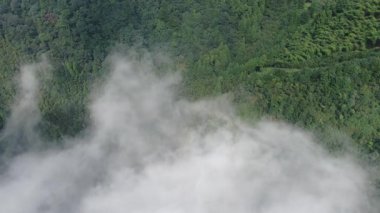 Çin 'in Hangzhou Zhejiang eyaletinde, doğu Tianmu dağında güzel, uzun bir şelale. Yüksek kalite 4k görüntü