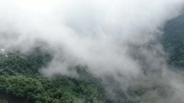 Çin 'in Hangzhou Zhejiang eyaletinde, doğu Tianmu dağında güzel, uzun bir şelale. Yüksek kalite 4k görüntü