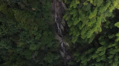 Çin 'in Hangzhou Zhejiang eyaletinde, doğu Tianmu dağında güzel, uzun bir şelale. Yüksek kalite 4k görüntü