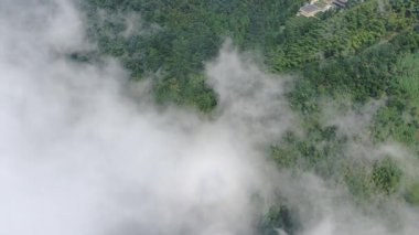 Çin 'in Hangzhou Zhejiang eyaletinde, doğu Tianmu dağında güzel, uzun bir şelale. Yüksek kalite 4k görüntü