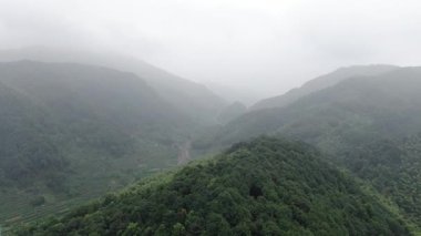 Hangzhou Çin 'in kırsal manzarası. Yüksek kalite 4k görüntü