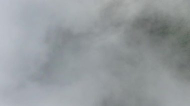 Çin 'in Hangzhou Zhejiang eyaletinde, doğu Tianmu dağında güzel, uzun bir şelale. Yüksek kalite 4k görüntü