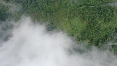 Çin 'in Hangzhou Zhejiang eyaletinde, doğu Tianmu dağında güzel, uzun bir şelale. Yüksek kalite 4k görüntü