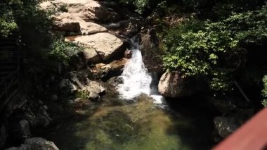 Nehir akan ormanın doğal manzarası, Hangzhou Zhejiang. Yüksek kalite 4k görüntü