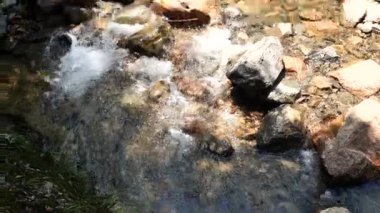 Nehir akan ormanın doğal manzarası, Hangzhou Zhejiang. Yüksek kalite 4k görüntü