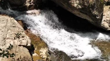 Nehir akan ormanın doğal manzarası, Hangzhou Zhejiang. Yüksek kalite 4k görüntü