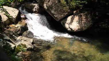 Nehir akan ormanın doğal manzarası, Hangzhou Zhejiang. Yüksek kalite 4k görüntü