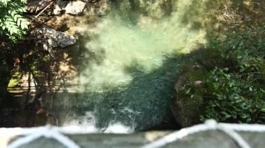 Nehir akan ormanın doğal manzarası, Hangzhou Zhejiang. Yüksek kalite 4k görüntü