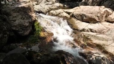 Nehir akan ormanın doğal manzarası, Hangzhou Zhejiang. Yüksek kalite 4k görüntü