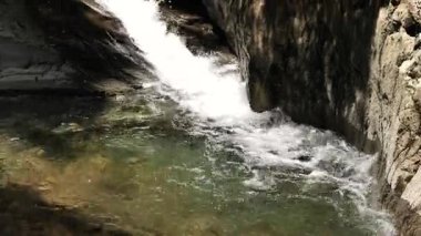 Nehir akan ormanın doğal manzarası, Hangzhou Zhejiang. Yüksek kalite 4k görüntü