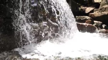 Nehir akan ormanın doğal manzarası, Hangzhou Zhejiang. Yüksek kalite 4k görüntü