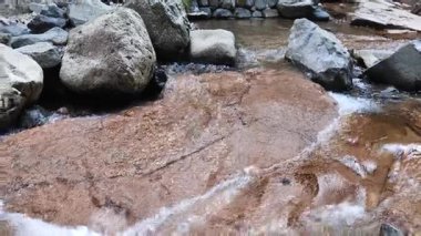 Nehir akan ormanın doğal manzarası, Hangzhou Zhejiang. Yüksek kalite 4k görüntü