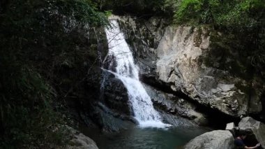 Nehir akan ormanın doğal manzarası, Hangzhou Zhejiang. Yüksek kalite 4k görüntü