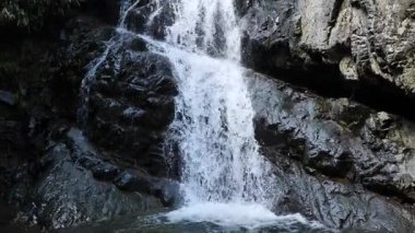 Nehir akan ormanın doğal manzarası, Hangzhou Zhejiang. Yüksek kalite 4k görüntü