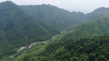 Çin 'in Hangzhou ilçesindeki kırsal bölge manzarası. Yüksek kalite 4k görüntü