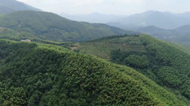 Çin 'in Hangzhou ilçesindeki kırsal bölge manzarası. Yüksek kalite 4k görüntü